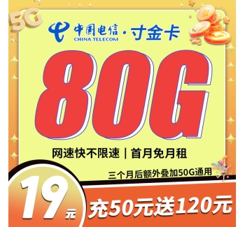 卡世界电信寸金卡19元80G